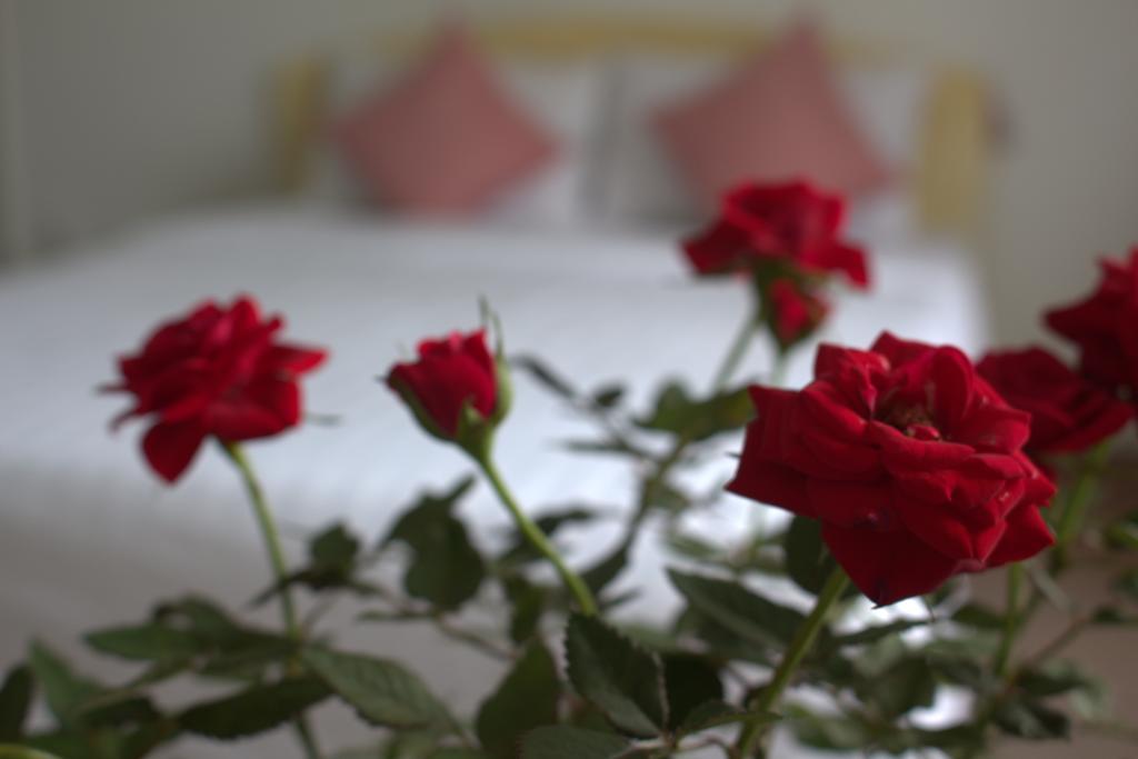 Des Ami Villa Vung Tau Kültér fotó