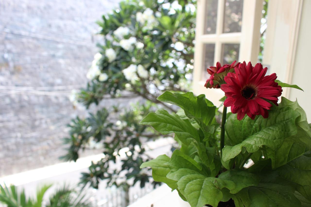 Des Ami Villa Vung Tau Kültér fotó