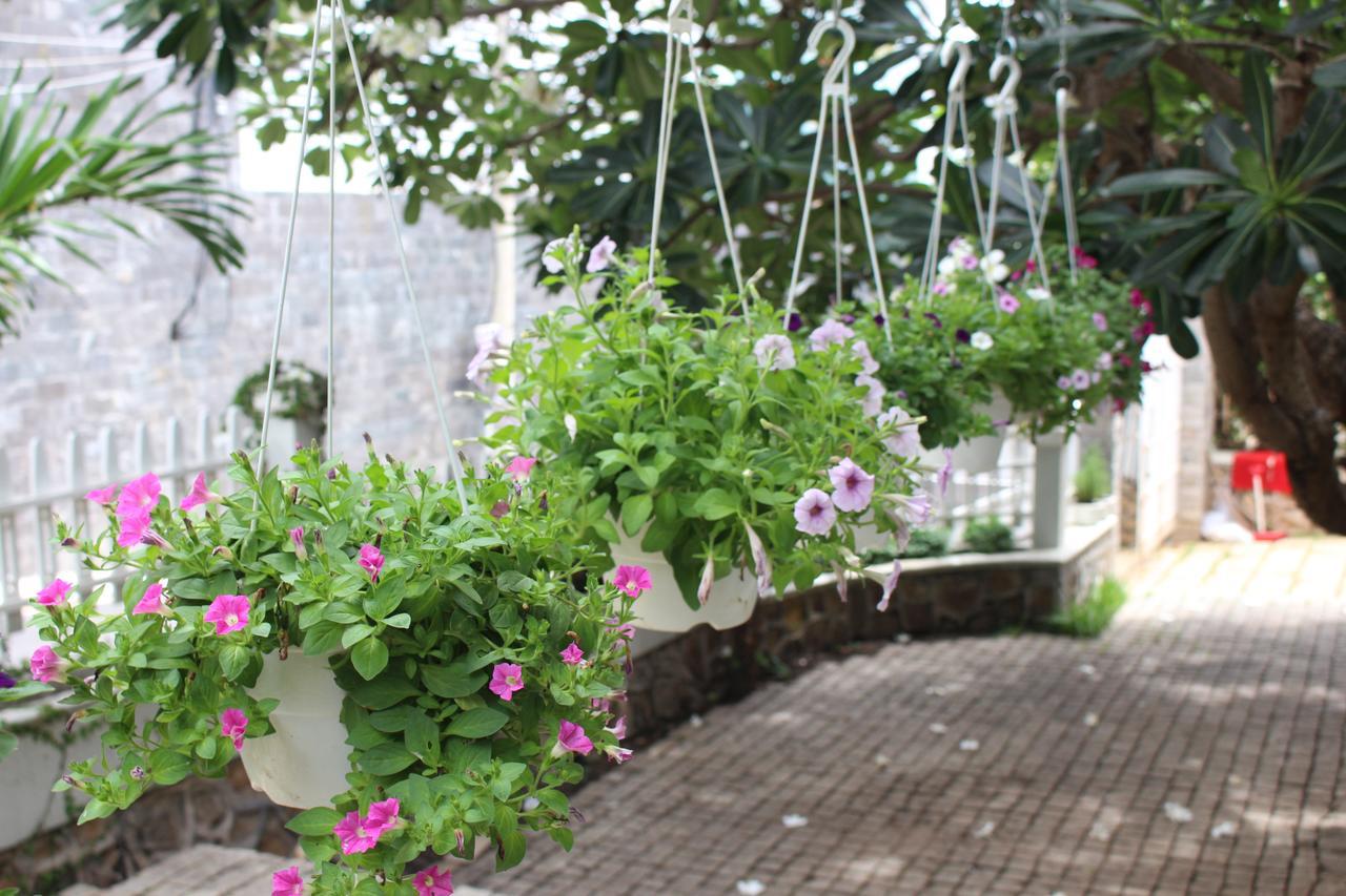 Des Ami Villa Vung Tau Kültér fotó